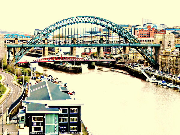 Port of Tyne Bridges and River in sort of sepia Picture Board by Sheila Eames