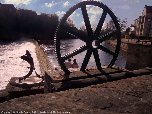 Salmon Leap and Mill Wheel by Wetherby Bridge Picture Board by Sheila Eames