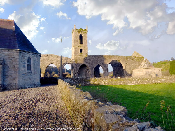 Baltinglass Abbey and Church, Co. Wicklow, Ireland Picture Board by Sheila Eames