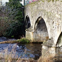 Buy canvas prints of Baltinglass Bridge, Co. Wicklow, Ireland by Sheila Eames
