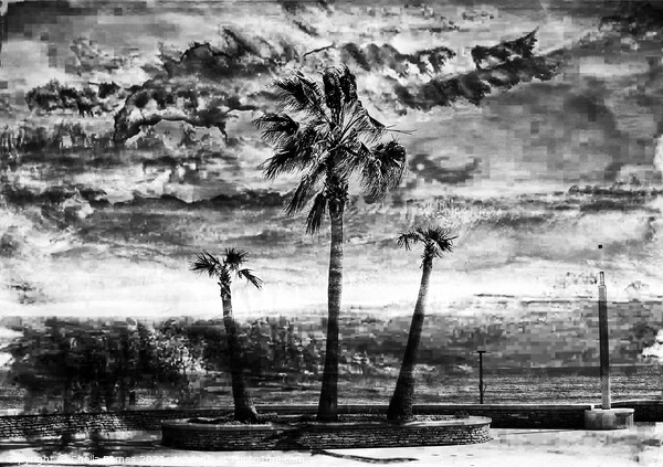 A Stormy Day in Black & white Picture Board by Sheila Eames