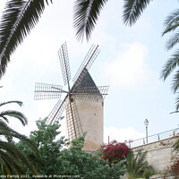 Buy canvas prints of Windmill in Majorca  by Sheila Eames