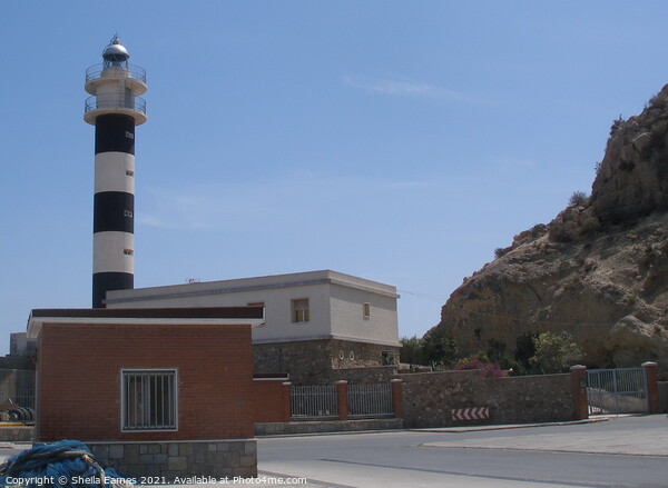 The Lighthouse at Aguilas, Spain Picture Board by Sheila Eames