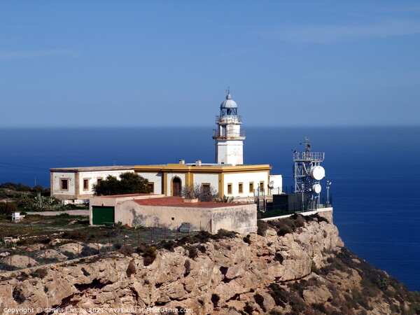 Lighthouse at Mesa Roldan, Carboneras, Spain Picture Board by Sheila Eames