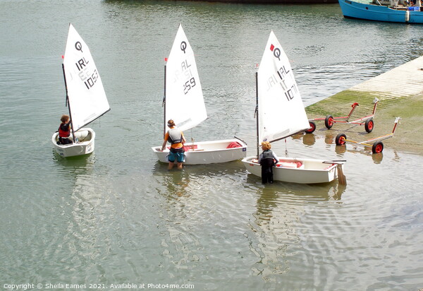 Three Learner Sailors Picture Board by Sheila Eames