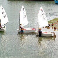 Buy canvas prints of Three Learner Sailors by Sheila Eames