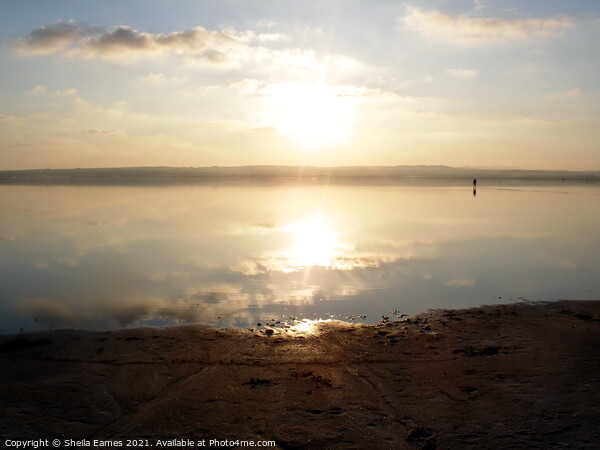 Sunset over the Salt Lakes at Torrevieja, Spain Picture Board by Sheila Eames