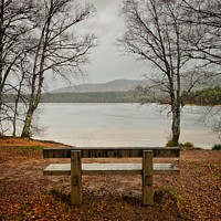 Buy canvas prints of Loch Morlich in Autumn by Ashley Bremner
