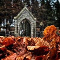 Buy canvas prints of Autumn Leaves by Ashley Bremner