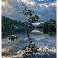 Buy canvas prints of The Lone Tree by John Martin