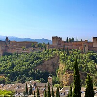 Buy canvas prints of Alhambra Palace by John Martin