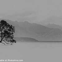 Buy canvas prints of The lone tree at Wanaka by Paul James