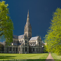 Buy canvas prints of Salisbury Cathedral by David Caspar