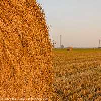 Buy canvas prints of PIXEL ART on close-up of a hay cylindrical bale in by daniele mattioda