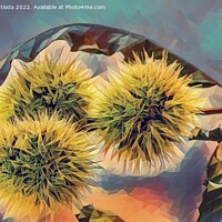 Buy canvas prints of POLY ART on set of curls containing chestnuts by daniele mattioda