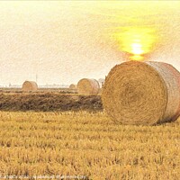 Buy canvas prints of PENCIL SKETCH EFFECT on close-up of a hay cylindrical bale in a farmland by daniele mattioda