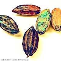 Buy canvas prints of POLY ART on close-up of the fruit of the cocoa plant by daniele mattioda