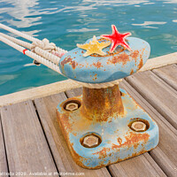 Buy canvas prints of detail of a bollard with two starfishes and a rope by daniele mattioda