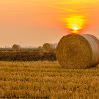 Buy canvas prints of close-up of a hay cylindrical bale in a farmland by daniele mattioda