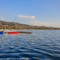 Buy canvas prints of view of the lake of viverone in italy with the doc by daniele mattioda