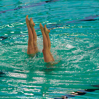Buy canvas prints of exhibition of synchronized swimming by daniele mattioda
