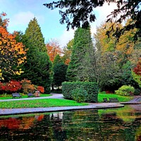 Buy canvas prints of Autumn at Williamson Park, Lancaster by Michele Davis