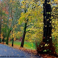 Buy canvas prints of Hurst Grange Park, Autumn by Michele Davis