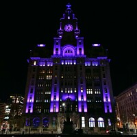 Buy canvas prints of Liver Building Illuminated by Michele Davis