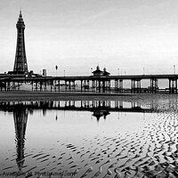 Buy canvas prints of Blackpool Tower Reflections by Michele Davis