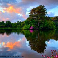 Buy canvas prints of Cuerden Valley Park Reflections by Michele Davis