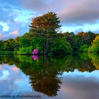 Buy canvas prints of Cuerden Valley Park Reflections by Michele Davis