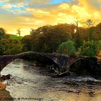 Buy canvas prints of Cromwell's Bridge, Ribble Valley by Michele Davis