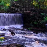 Buy canvas prints of Yarrow Valley Weir by Michele Davis
