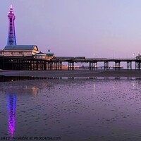 Buy canvas prints of Blackpool Tower, Illuminated Reflections by Michele Davis