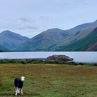 Buy canvas prints of Wastwater, Lake District by Michele Davis