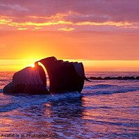 Buy canvas prints of Mary's Shell Sunset by Michele Davis