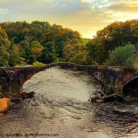 Buy canvas prints of Cromwell's Bridge Autumn by Michele Davis