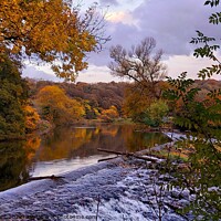 Buy canvas prints of Whalley Weir, Autumn by Michele Davis
