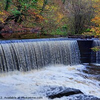 Buy canvas prints of Yarrow Valley Weir by Michele Davis
