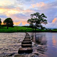Buy canvas prints of Whitewell Stepping Stones by Michele Davis