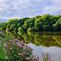 Buy canvas prints of Yarrow Valley Country Park by Michele Davis