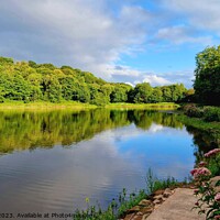 Buy canvas prints of Yarrow Valley Country Park by Michele Davis
