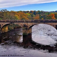 Buy canvas prints of Crook o' Lune Autumn by Michele Davis