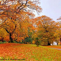 Buy canvas prints of Autumn leaves by Michele Davis