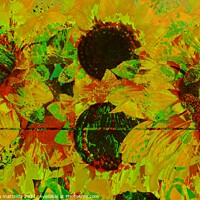 Buy canvas prints of Glitch art on sunflowers by susanna mattioda