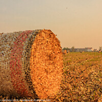 Buy canvas prints of PIXEL ART on a hay cylindrical bale  by susanna mattioda