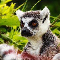 Buy canvas prints of PIXEL ART on close-up of lemur of Madagascar by susanna mattioda