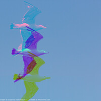 Buy canvas prints of GLITCH ART on seagull by susanna mattioda