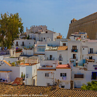 Buy canvas prints of view of old Ibiza with typical white houses and re by susanna mattioda