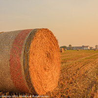 Buy canvas prints of close-up of a hay cylindrical bale in a farmland by susanna mattioda